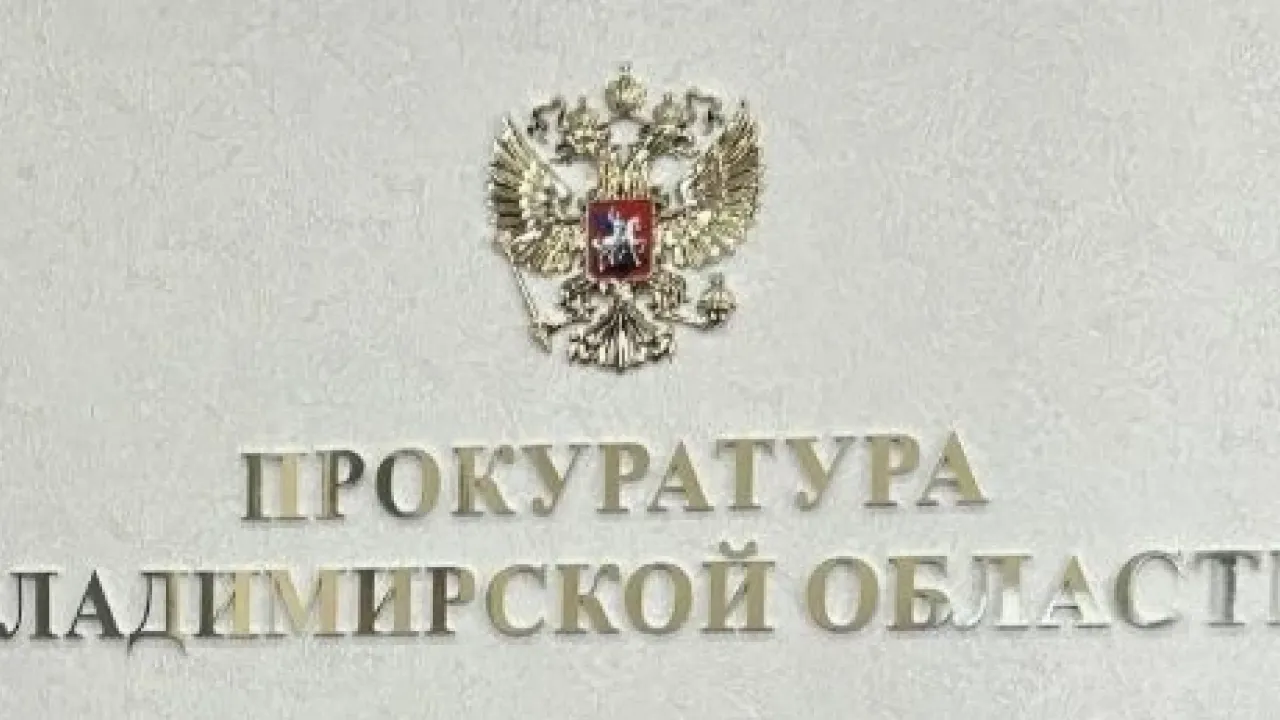В Гусь-Хрустальном перед судом предстанут двое подростков за грабеж — Владимир Сейчас