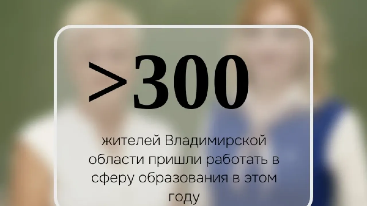 Более 300 жителей Владимирской области устроились в сферу образования — Владимир Сейчас