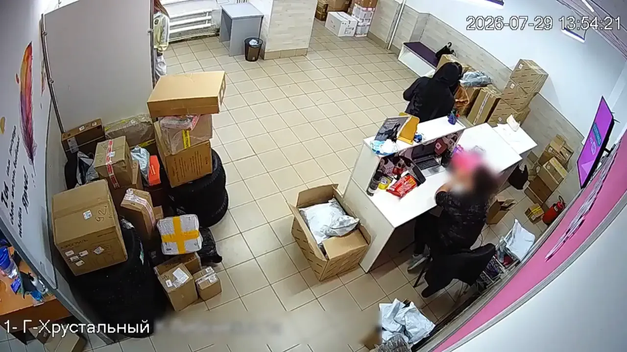В Гусь-Хрустальном 19-летнюю девушку подозревают в вовлечении подростка в преступление — Владимир Сейчас