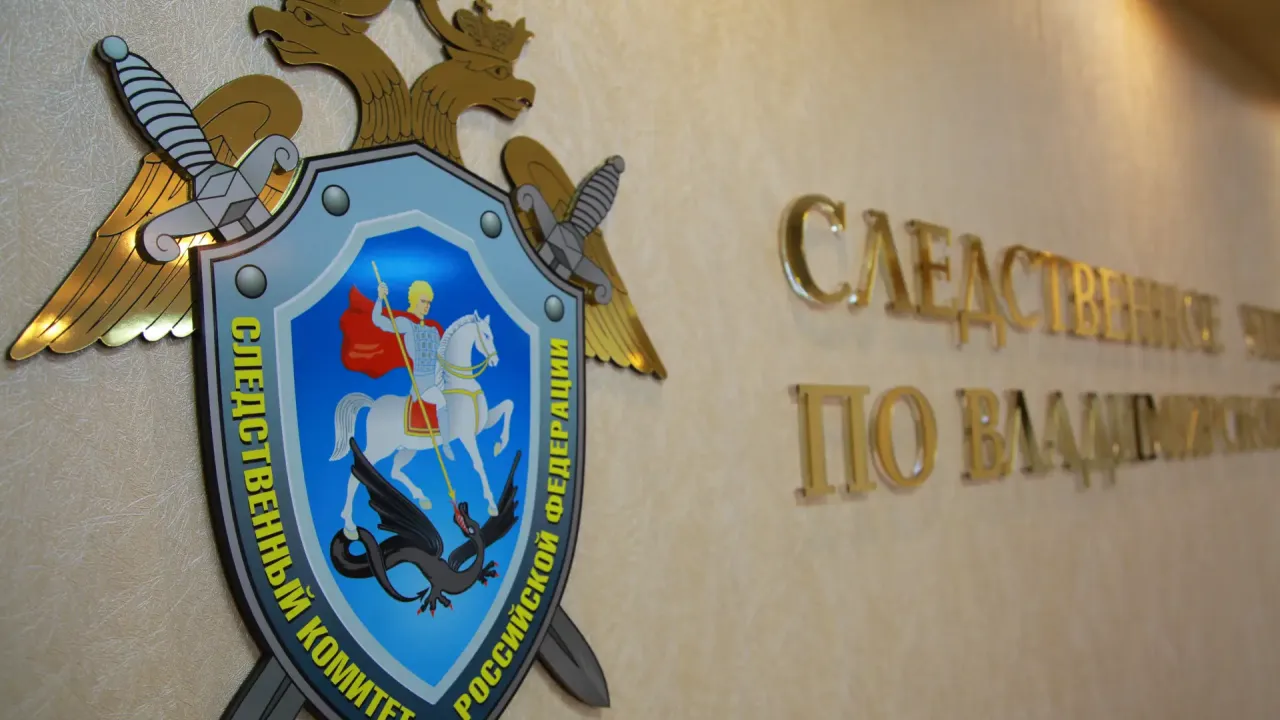 В Кольчугинском районе экс-директора медучреждения будут судить по делу о присвоении — Владимир Сейчас