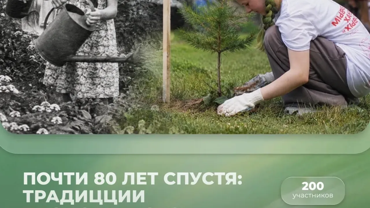 Во Владимирской области проходит Всероссийский слёт юннатов — Владимир Сейчас