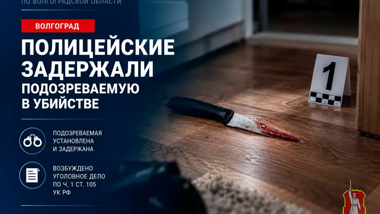 В Волгограде 23-летнюю девушку задержали по подозрению в убийстве сожителя — Волгоград Сейчас