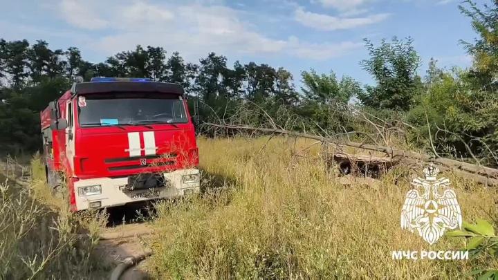 Пожар на улице Миронова в Воронеже ликвидирован на площади 1,5 гектара — Воронеж Сейчас