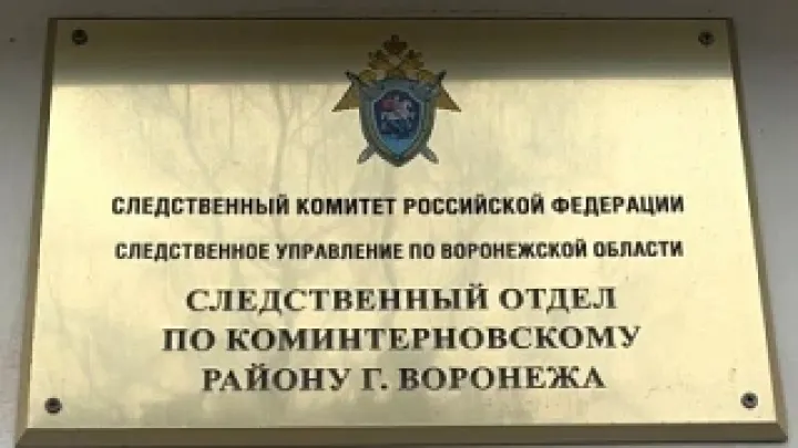 В Воронеже 41-летняя женщина зарезала сожителя во время ссоры в переулке Автогенном — Воронеж Сейчас
