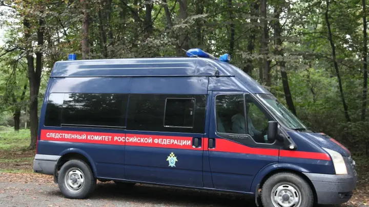 В Калачеевском районе женщину судят за истязание 11-летней внучки — Воронеж Сейчас