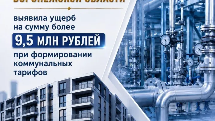 Прокуратура Воронежской области выявила ущерб свыше 9,5 млн рублей при расчете тарифов — Воронеж Сейчас