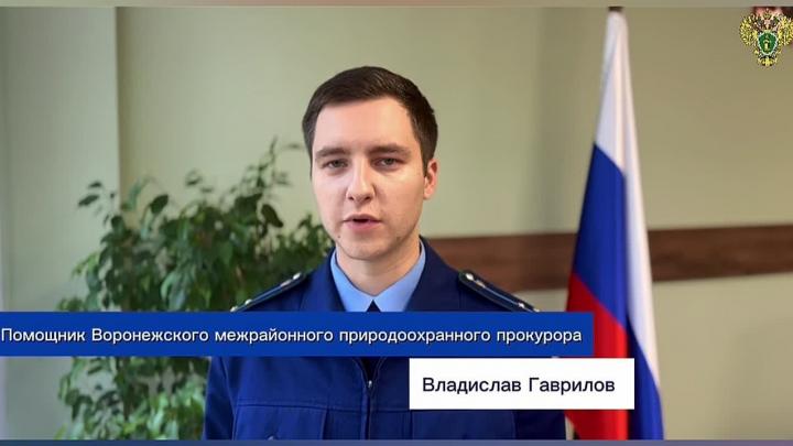 В Воронеже устранили нарушения при содержании аварийных и сухостойных деревьев — Воронеж Сейчас