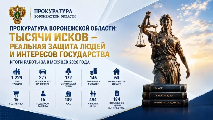 Прокуратура Воронежской области направила в суды иски на 7 миллиардов рублей — Воронеж Сейчас