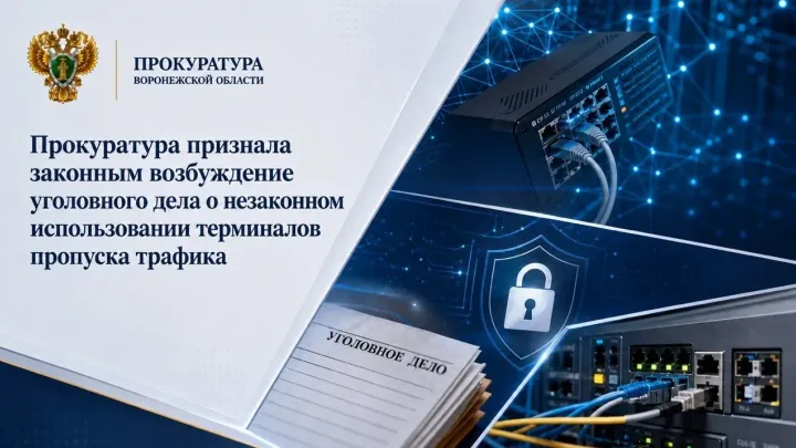 В Воронеже возбуждено дело о незаконном использовании терминалов пропуска трафика — Воронеж Сейчас