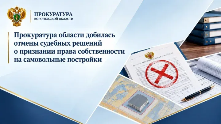 Воронежский облсуд отменил признание права собственности на самовольные постройки — Воронеж Сейчас