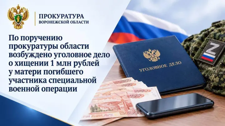 В Воронеже возбудили дело о хищении 1 млн рублей у матери погибшего участника СВО — Воронеж Сейчас