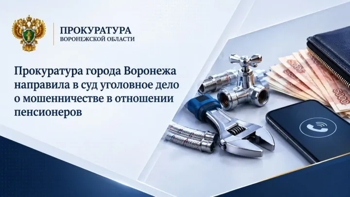 В Воронеже направили в суд дело о мошенничестве в отношении пенсионеров — Воронеж Сейчас