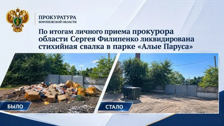 В парке «Алые Паруса» ликвидировали стихийную свалку после проверки прокуратуры — Воронеж Сейчас