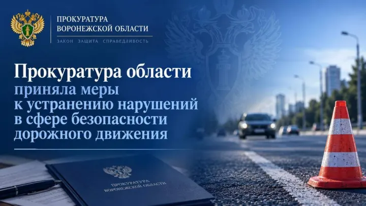 Прокуратура выявила нарушения при содержании дорог в Воронеже и районах области — Воронеж Сейчас