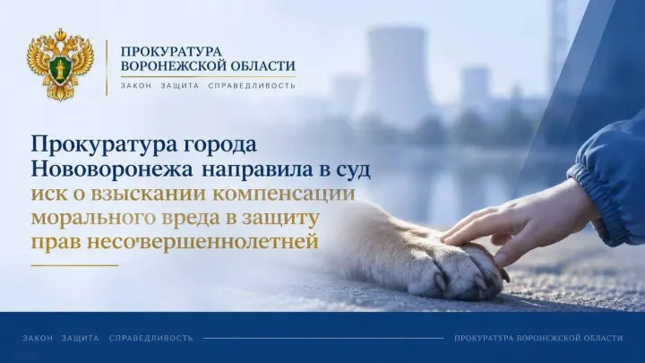 Прокуратура Нововоронежа подала иск после нападения собак на 12-летнюю девочку — Воронеж Сейчас