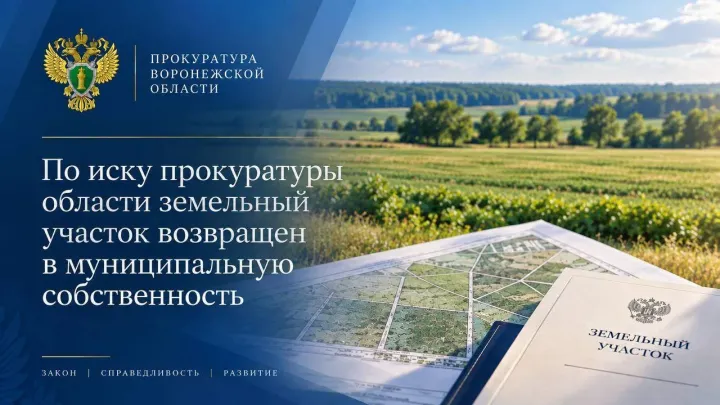 В Поворинском районе участок площадью более 14,8 га вернули в муниципальную собственность — Воронеж Сейчас
