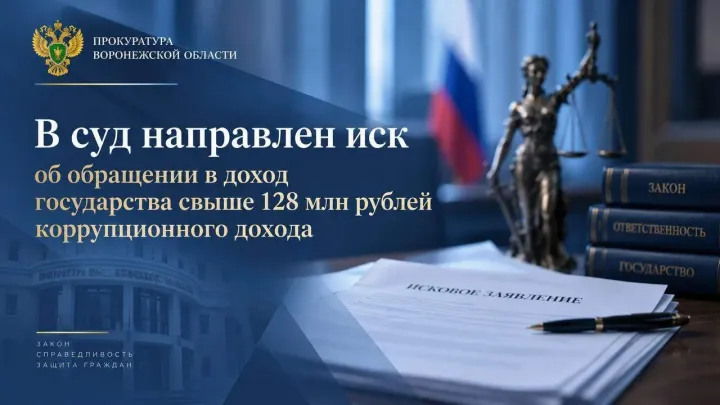 В Воронеже в суд подали иск о взыскании более 128 млн рублей коррупционного дохода — Воронеж Сейчас