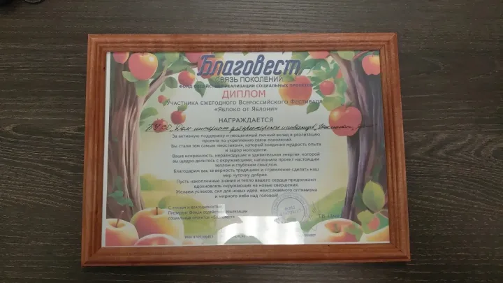 Воронежские соцучреждения отметили за участие в фестивале «Яблоко от Яблони» — Воронеж Сейчас