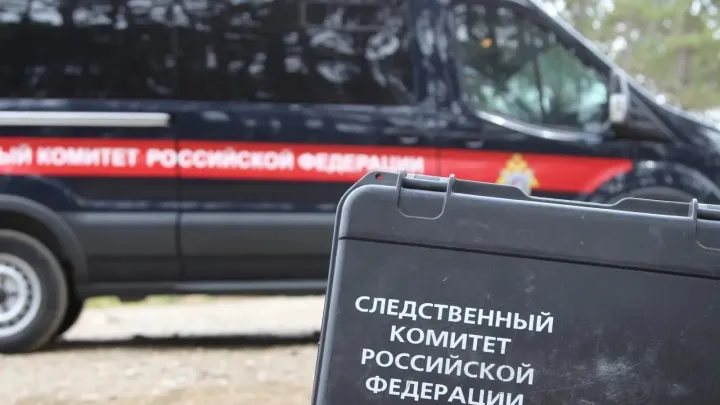 В Воронеже двое несовершеннолетних подозреваются в грабеже — Воронеж Сейчас