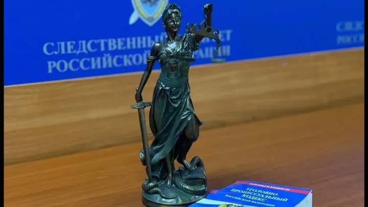 В Воронеже местную жительницу оштрафовали за оскорбление сотрудника полиции — Воронеж Сейчас