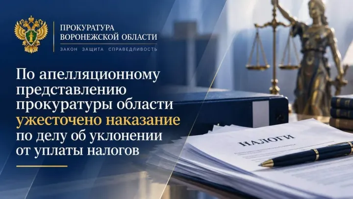 В Воронеже ужесточили наказание по делу об уклонении от уплаты налогов — Воронеж Сейчас