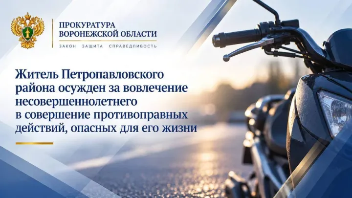 В Петропавловском районе мужчину осудили за вовлечение сына в опасные противоправные действия — Воронеж Сейчас