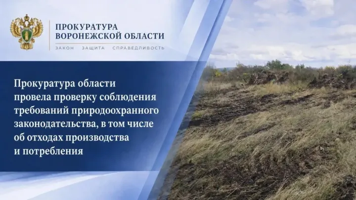 В Эртильском районе после вмешательства прокуратуры убрали незаконную свалку — Воронеж Сейчас
