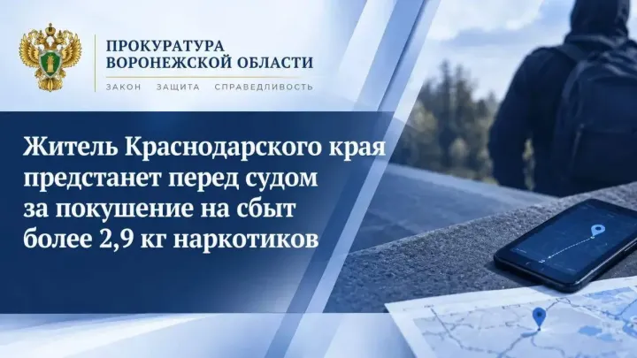 В Воронежской области в суд направили дело о покушении на сбыт 2,9 кг наркотиков — Воронеж Сейчас