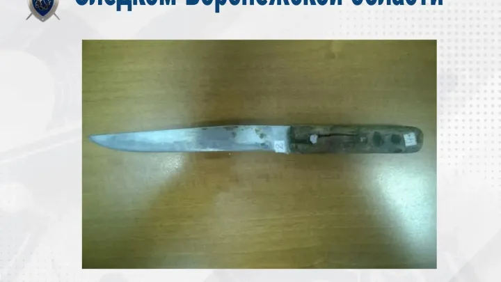 В Воронежской области передали в суд дело об убийстве, совершенном в 2014 году — Воронеж Сейчас