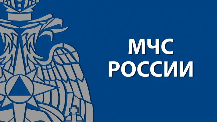 МЧС рассказало о выдаче заключений по итогам комплексных учений через госуслуги — Воронеж Сейчас