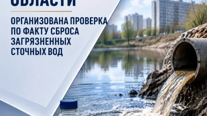 В Воронеже выявили нарушения после сброса сточных вод в пруд «Масловский» — Воронеж Сейчас