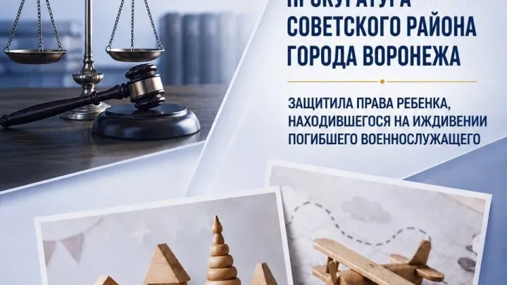 В Воронеже прокуратура потребовала через суд выдать соцподдержку ребенку погибшего бойца СВО — Воронеж Сейчас