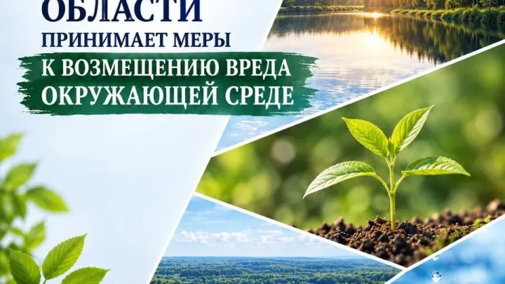 В Воронежской области с нарушителей природоохранного законодательства взыскали более 2 млн рублей — Воронеж Сейчас