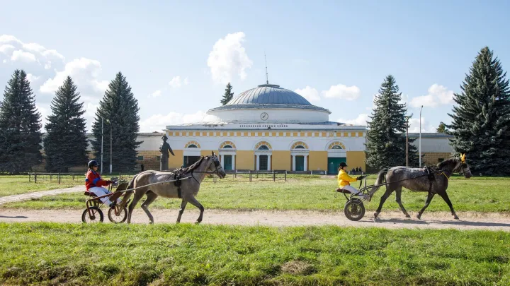В Бобровском районе отметили 250-летие Хреновского конного завода — Воронеж Сейчас