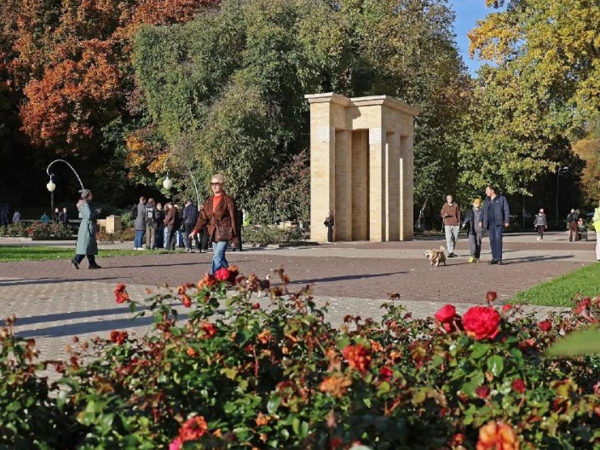 Более 41,5 тысячи воронежцев вышли на общегородской субботник