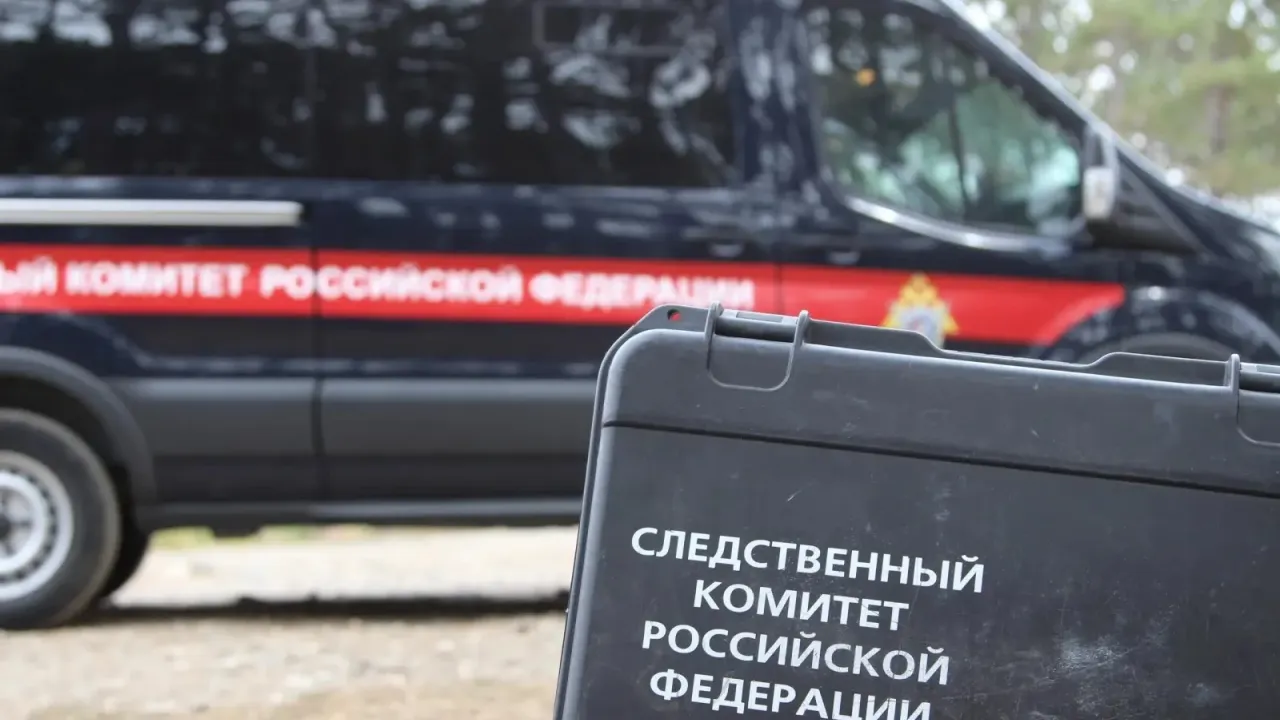 В Воронеже двое несовершеннолетних подозреваются в грабеже — Воронеж Сейчас