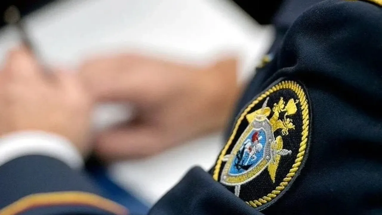 В Новоусманском районе перед судом предстанет женщина по делу о покушении на убийство — Воронеж Сейчас