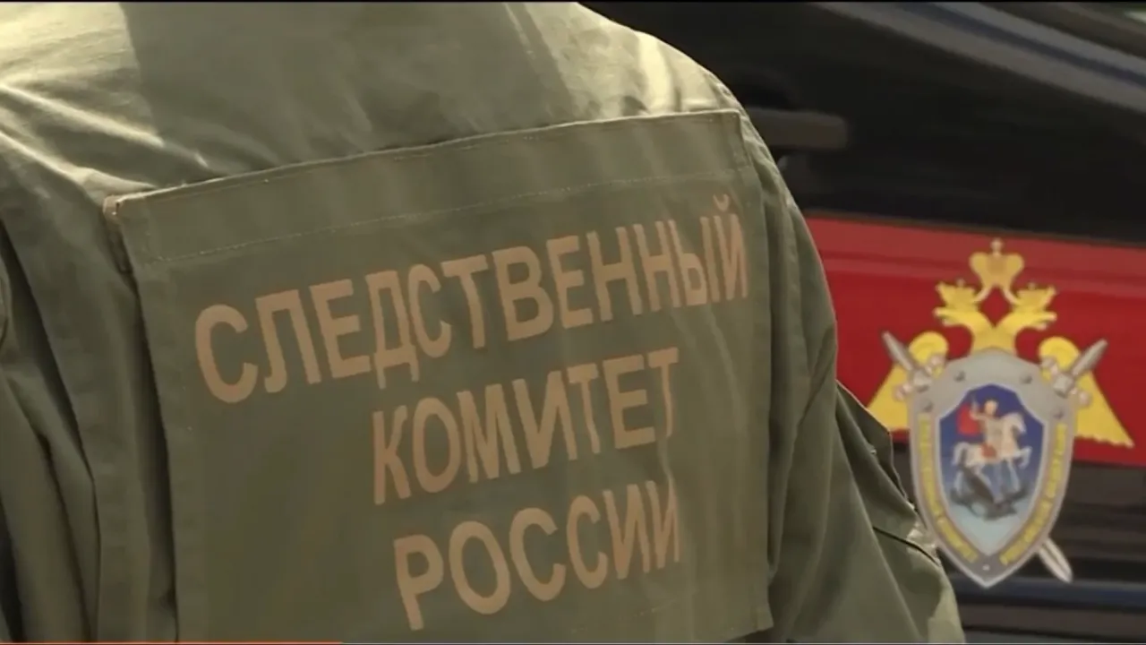 В Воронежской области подростка будут судить за кражу денег с банковского счета — Воронеж Сейчас