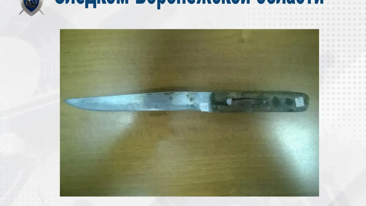 В Воронежской области передали в суд дело об убийстве, совершенном в 2014 году — Воронеж Сейчас