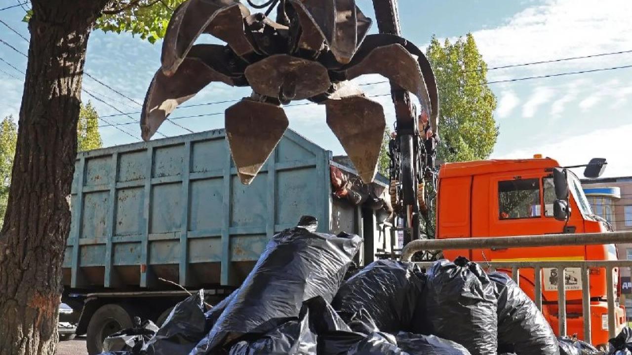 Более 41,5 тысячи воронежцев вышли на общегородской субботник — Воронеж Сейчас