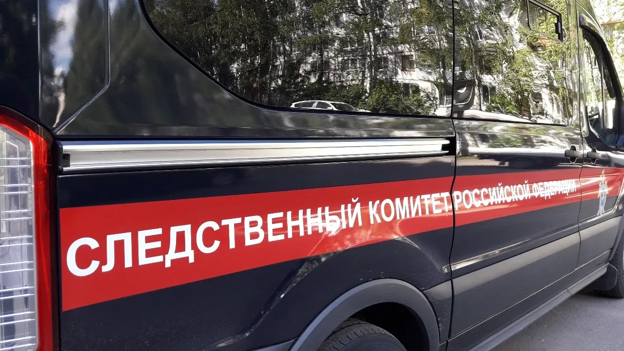 В Воронежской области возбудили дело в отношении 16-летней подозреваемой в покушении на сбыт наркотиков — Воронеж Сейчас