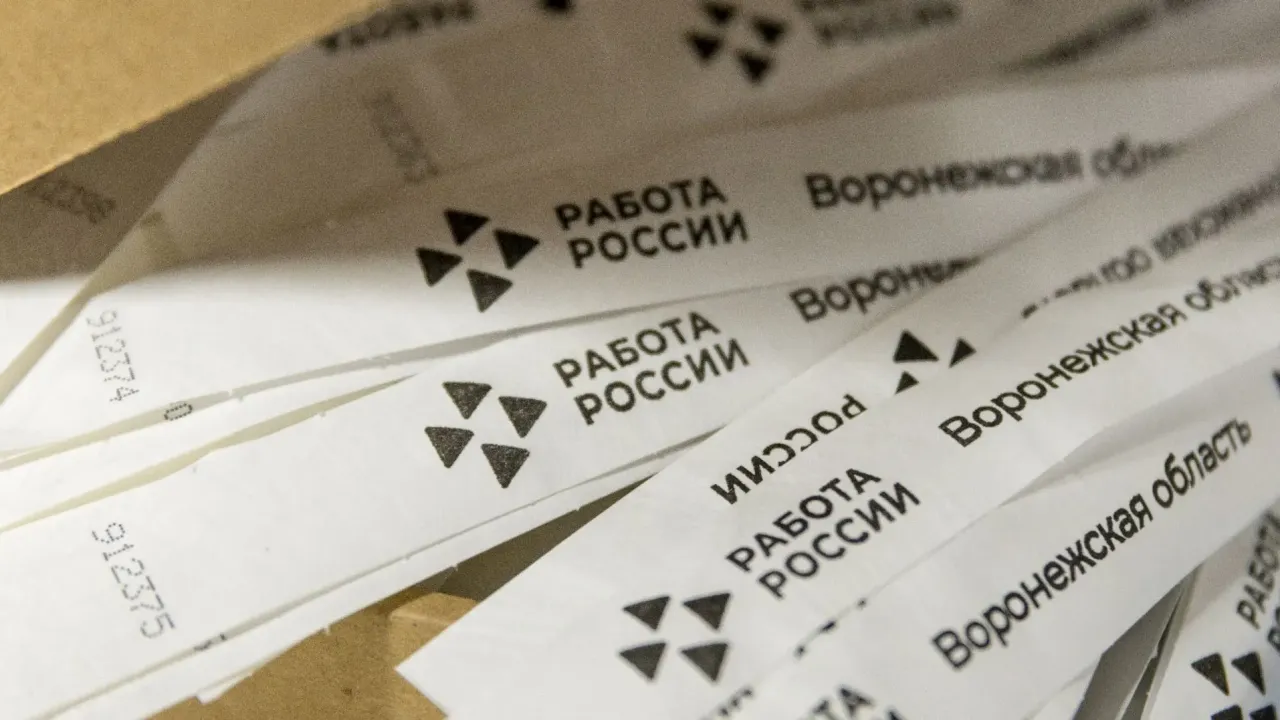 Воронежская область вышла в финал конкурса профмастерства в сфере занятости — Воронеж Сейчас