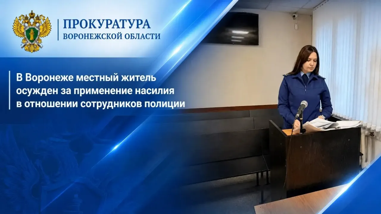 В Воронеже мужчину осудили за применение насилия в отношении полицейских — Воронеж Сейчас