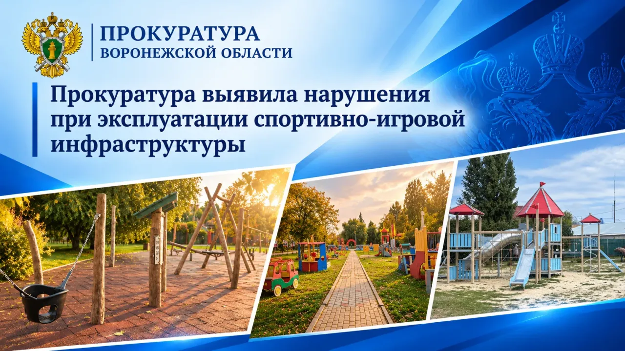 Прокуратура выявила более 50 нарушений на спортивных и игровых площадках — Воронеж Сейчас