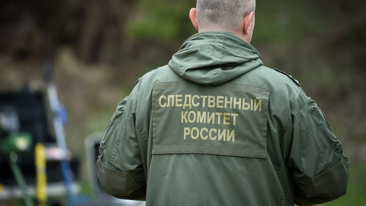 Следователи проверяют гибель мужчины при пожаре в жилом доме в Костенках — Воронеж Сейчас